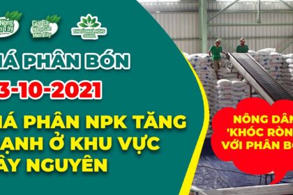 Vietnam fertilizer prices October 23, 2021