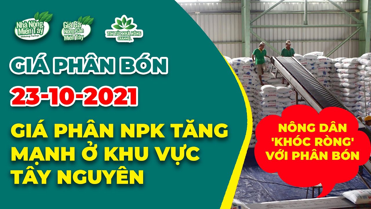 Vietnam fertilizer prices October 23, 2021
