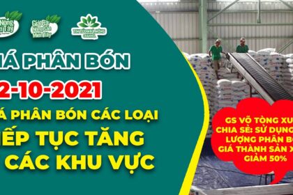 Vietnam fertilizer prices October 22, 2021