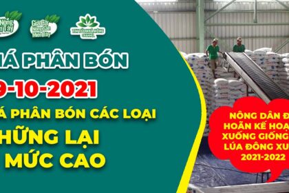 Vietnam fertilizer prices October 19, 2021