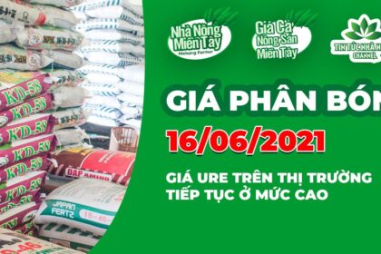 Vietnam fertilizer prices June 16, 2021