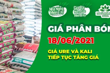 Vietnam fertilizer prices June 18, 2021