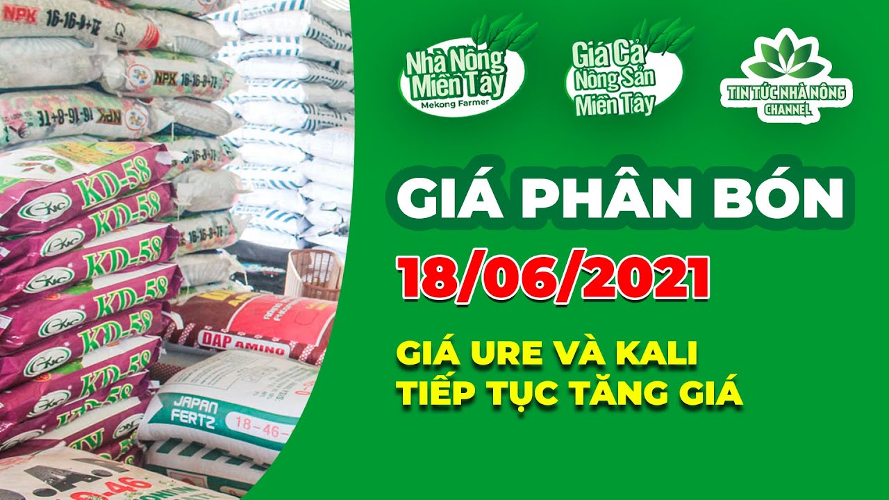 Vietnam fertilizer prices June 18, 2021