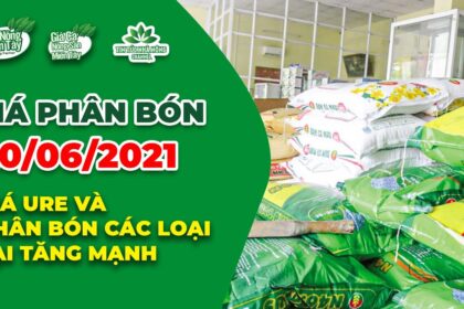 Vietnam fertilizer prices June 20, 2021