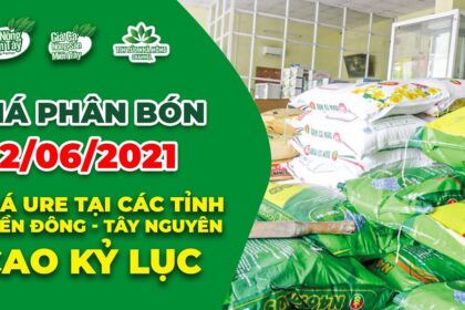 Vietnam fertilizer prices June 22, 2021