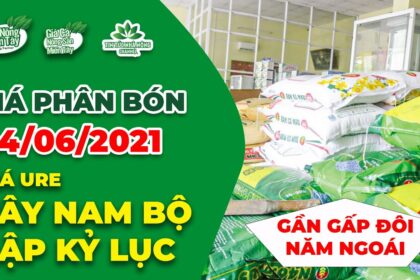 Vietnam fertilizer prices June 24, 2021