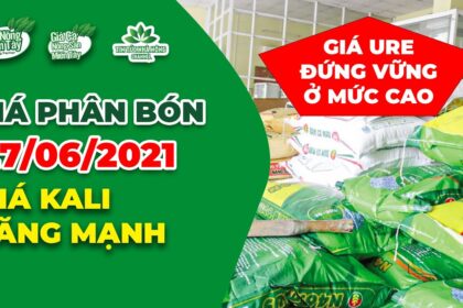 Vietnam fertilizer prices June 27, 2021