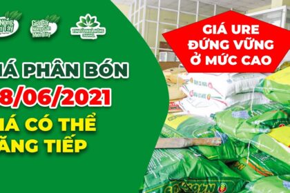 Vietnam fertilizer prices June 28, 2021