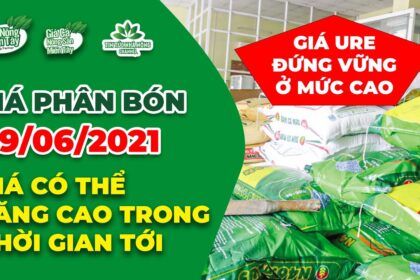 Vietnam fertilizer prices June 29, 2021