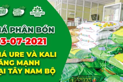 Vietnam fertilizer prices July 3, 2021