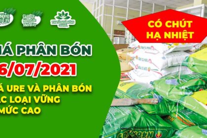 Vietnam fertilizer prices July 6, 2021
