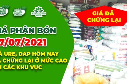 Vietnam fertilizer prices July 7, 2021