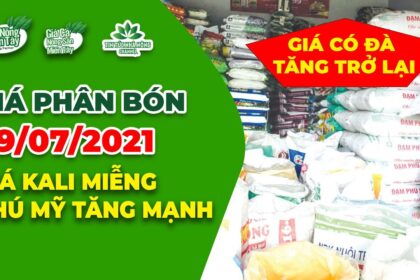 Vietnam fertilizer prices July 9, 2021