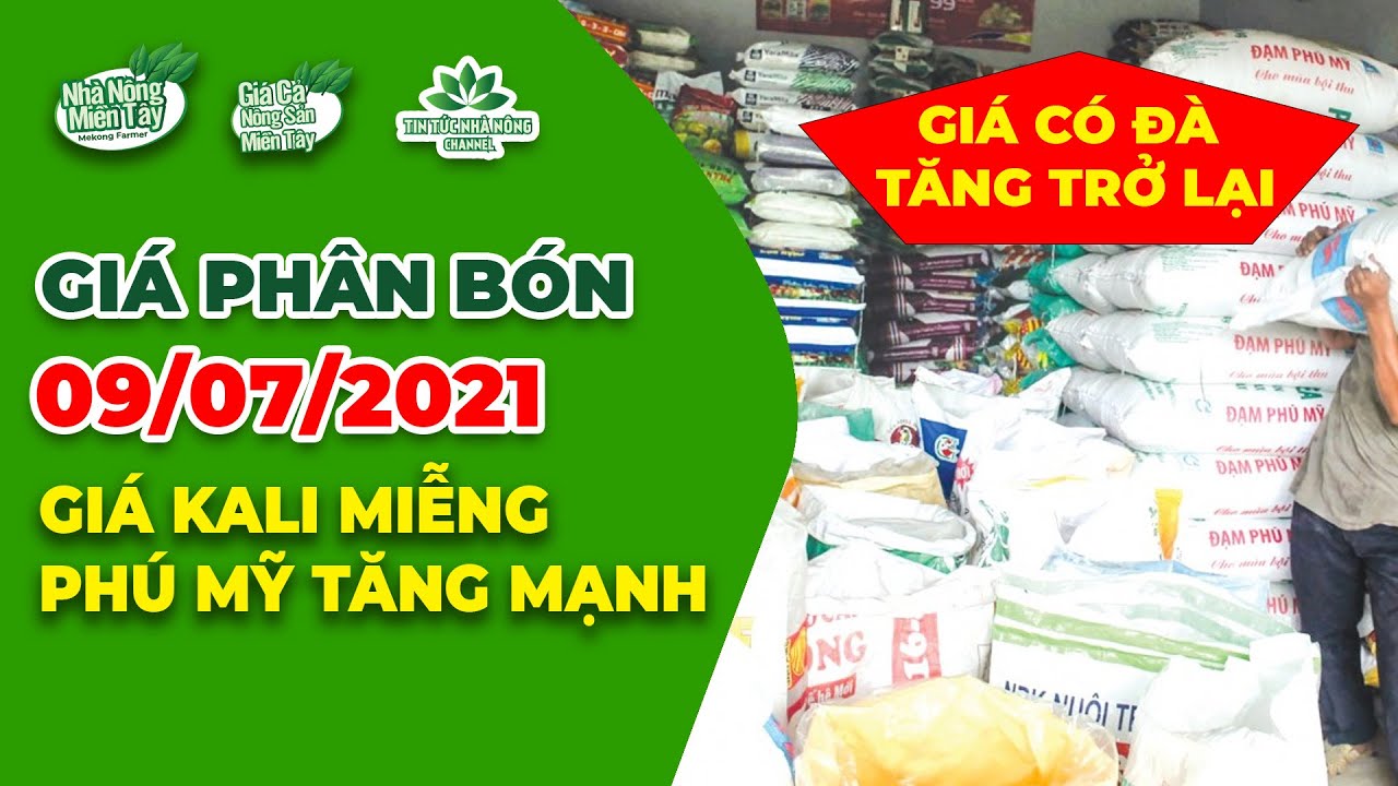 Vietnam fertilizer prices July 9, 2021
