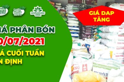 Vietnam fertilizer prices July 10, 2021
