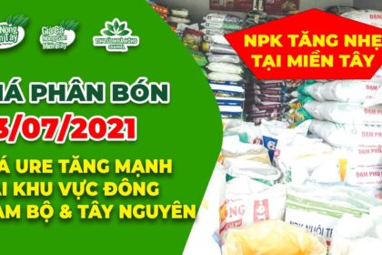 Vietnam fertilizer prices July 13, 2021
