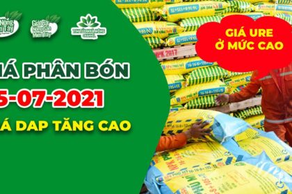 Vietnam fertilizer prices July 15, 2021