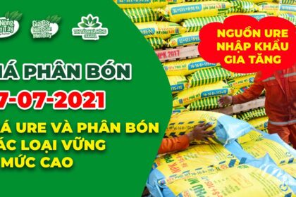 Vietnam fertilizer prices July 17, 2021