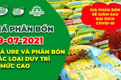 Vietnam fertilizer prices July 19, 2021