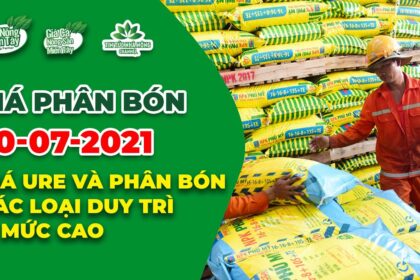Vietnam fertilizer prices July 20, 2021