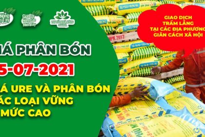Vietnam fertilizer prices July 25, 2021