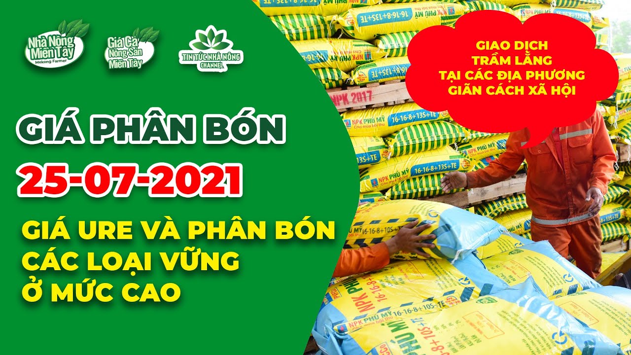Vietnam fertilizer prices July 25, 2021