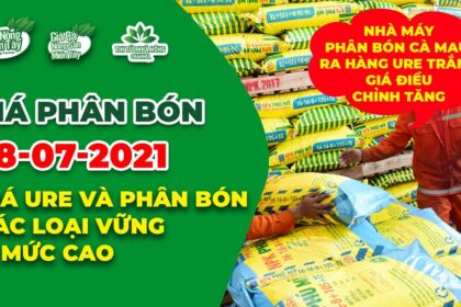 Vietnam fertilizer prices July 28, 2021