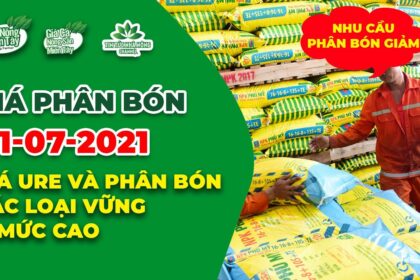 Vietnam fertilizer prices July 31, 2021