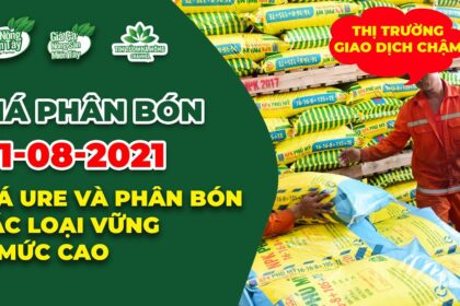 Vietnam fertilizer prices August 1, 2021