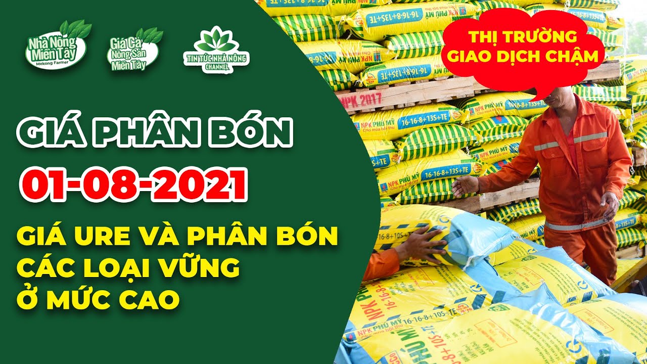 Vietnam fertilizer prices August 1, 2021