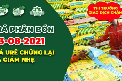 Vietnam fertilizer prices August 3, 2021