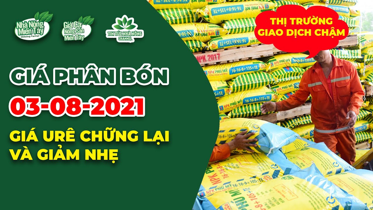 Vietnam fertilizer prices August 3, 2021