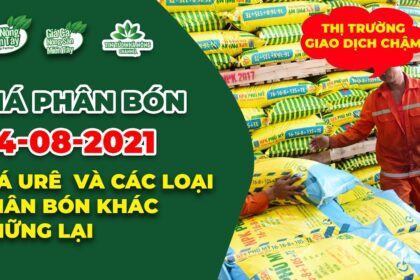 Vietnam fertilizer prices August 4, 2021