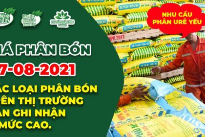 Vietnam fertilizer prices August 7, 2021