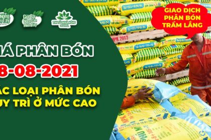 Vietnam fertilizer prices August 8, 2021