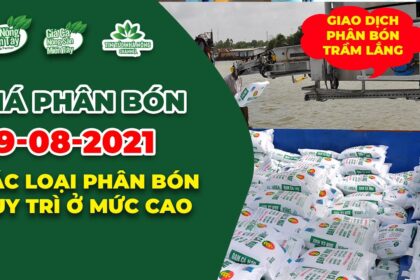 Vietnam fertilizer prices August 9, 2021
