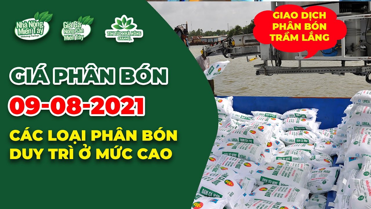 Vietnam fertilizer prices August 9, 2021
