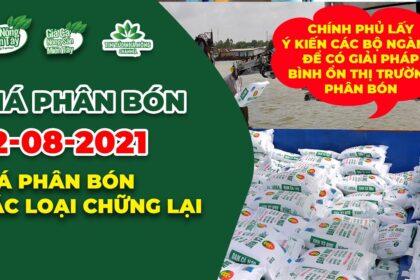 Vietnam fertilizer prices August 12, 2021
