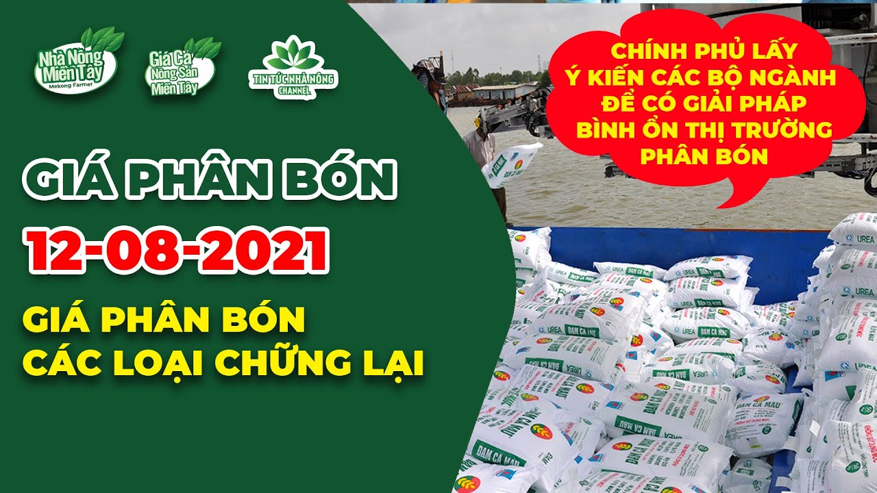Vietnam fertilizer prices August 12, 2021