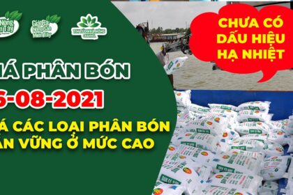 Vietnam fertilizer prices August 16, 2021