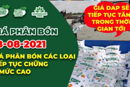 Vietnam fertilizer prices August 18, 2021