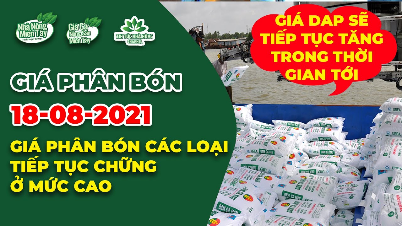 Vietnam fertilizer prices August 18, 2021