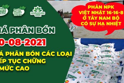 Vietnam fertilizer prices August 20, 2021
