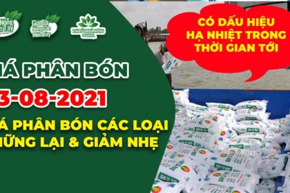 Vietnam fertilizer prices August 23, 2021