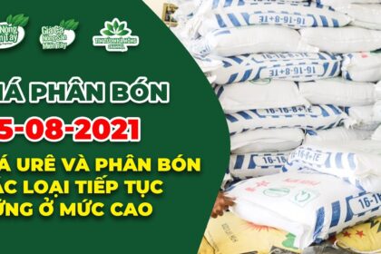 Vietnam fertilizer prices August 25, 2021