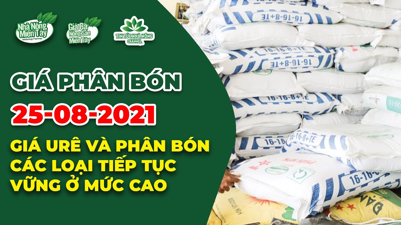 Vietnam fertilizer prices August 25, 2021
