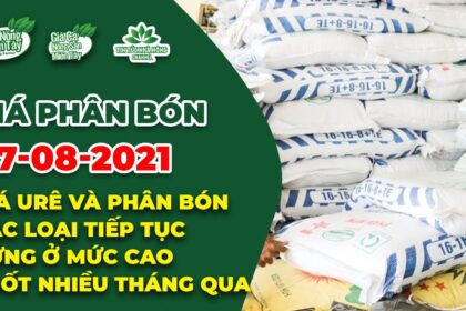 Vietnam fertilizer prices August 27, 2021