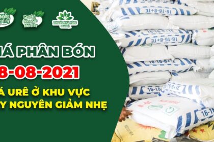 Vietnam fertilizer prices August 28, 2021
