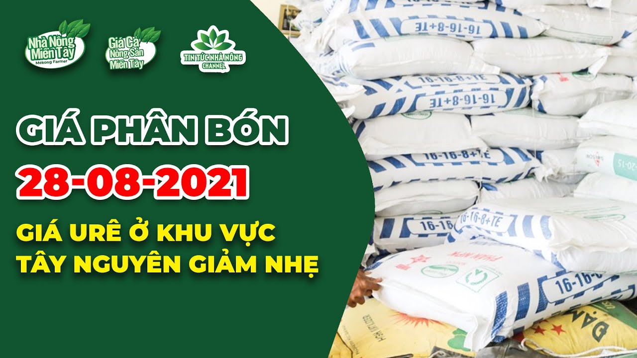 Vietnam fertilizer prices August 28, 2021