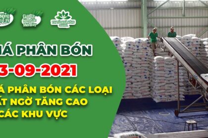 Vietnam fertilizer prices September 3, 2021